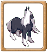 О животных, которых можно было купить во время различных акций!