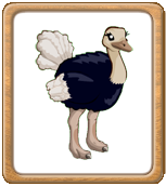 О животных, которых можно было получить во время рекламных акций!